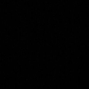 Meet your Posher, Bruce